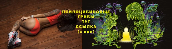 стаф Михайловск
