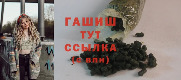 стаф Михайловск