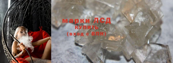 стаф Михайловск