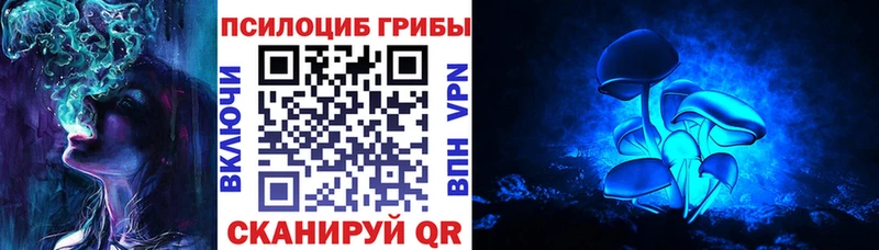 Галлюциногенные грибы мухоморы  Купить закладки  Ноябрьск 