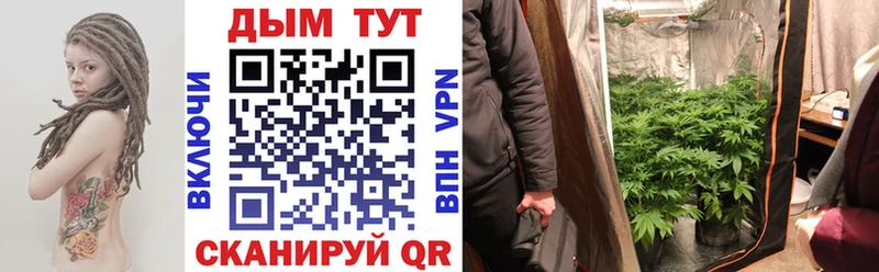 Бошки марихуана ГИДРОПОН  Купить закладки  Ноябрьск 